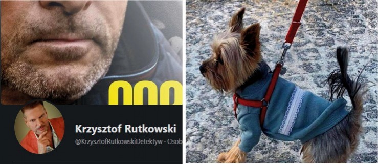 Detektyw Rutkowski pomaga szukać psa. Nagroda 10 tys. zł - Zdjęcie główne