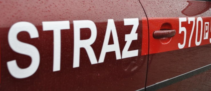 Pożar traw między Osiekiem a Dubinem - Zdjęcie główne