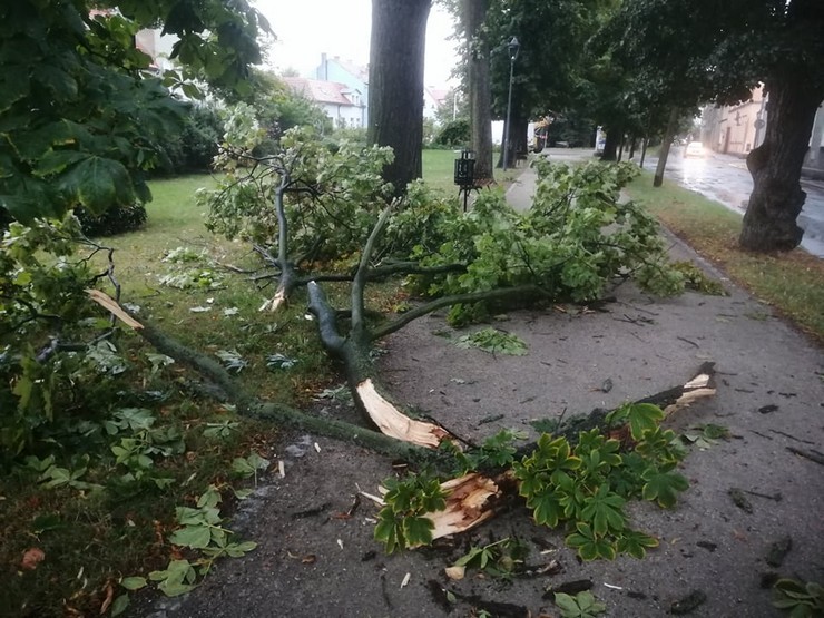 Burza nad powiatem rawickim. Pożar domu, połamane konary, zatarasowane drogi  - Zdjęcie główne