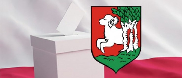 Bojanowo. Wybory radnego zarządzone  - Zdjęcie główne