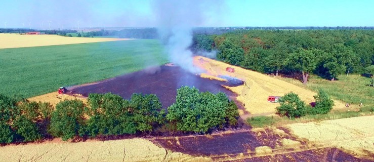 Rawicz. Kolejny pożar zboża na polu [FILM] - Zdjęcie główne