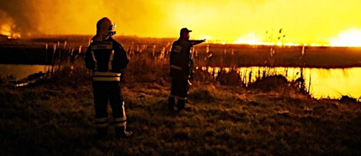 Ministerstwo proponuje wyższe kary za wypalanie traw - Zdjęcie główne