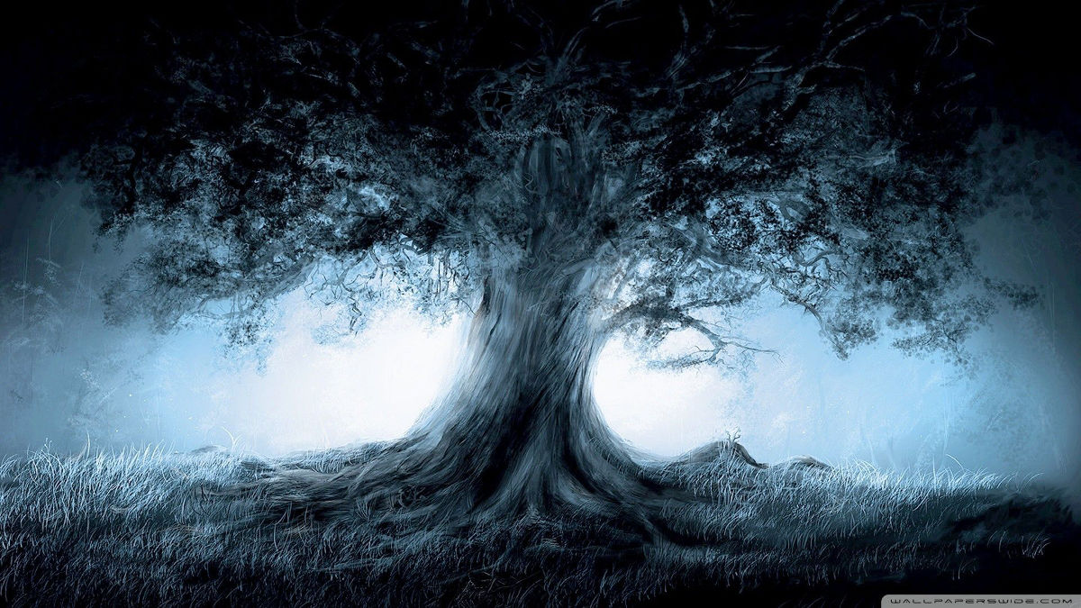 Horoskop celtycki. Sprawdź, jakim jesteś drzewem? - Zdjęcie główne