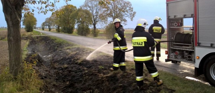 Pożar suchych traw. Strażacy w akcji - Zdjęcie główne