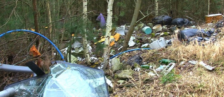 Mają dość. Sprzątną śmieci i powołają społeczną straż lasu  - Zdjęcie główne