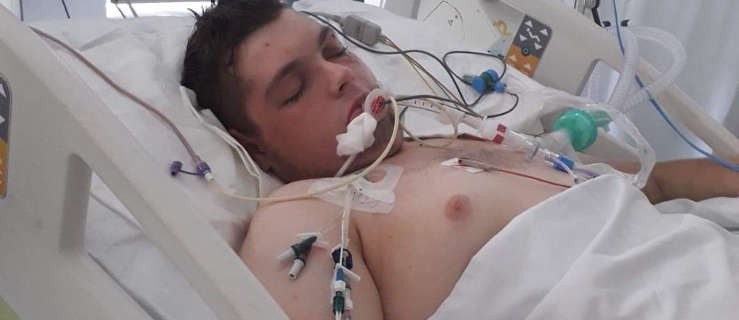 Rodzina nie poddaje się. Dominik musi stanąć na nogi - Zdjęcie główne