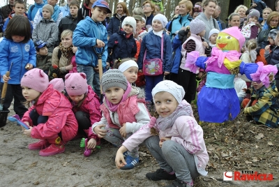 Sadzenie lasu w Osieku - Zdjęcie główne