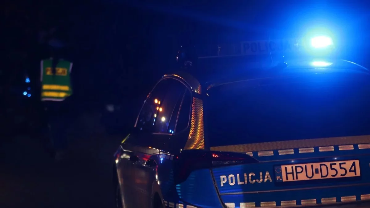 Popełnił dwa przestępstwa, trafił do aresztu. Grozi mu deportacja