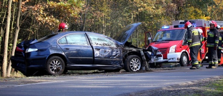 Peugeot uderzył w drzewo. Jedna osoba ranna - Zdjęcie główne