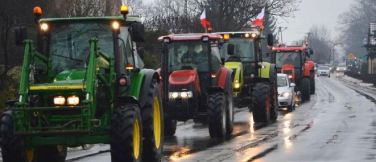 Protestują przeciwko rządowi - Zdjęcie główne