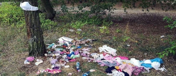 Płacimy za wywóz śmieci, a dzikich wysypisk nie ubywa [FILM] - Zdjęcie główne