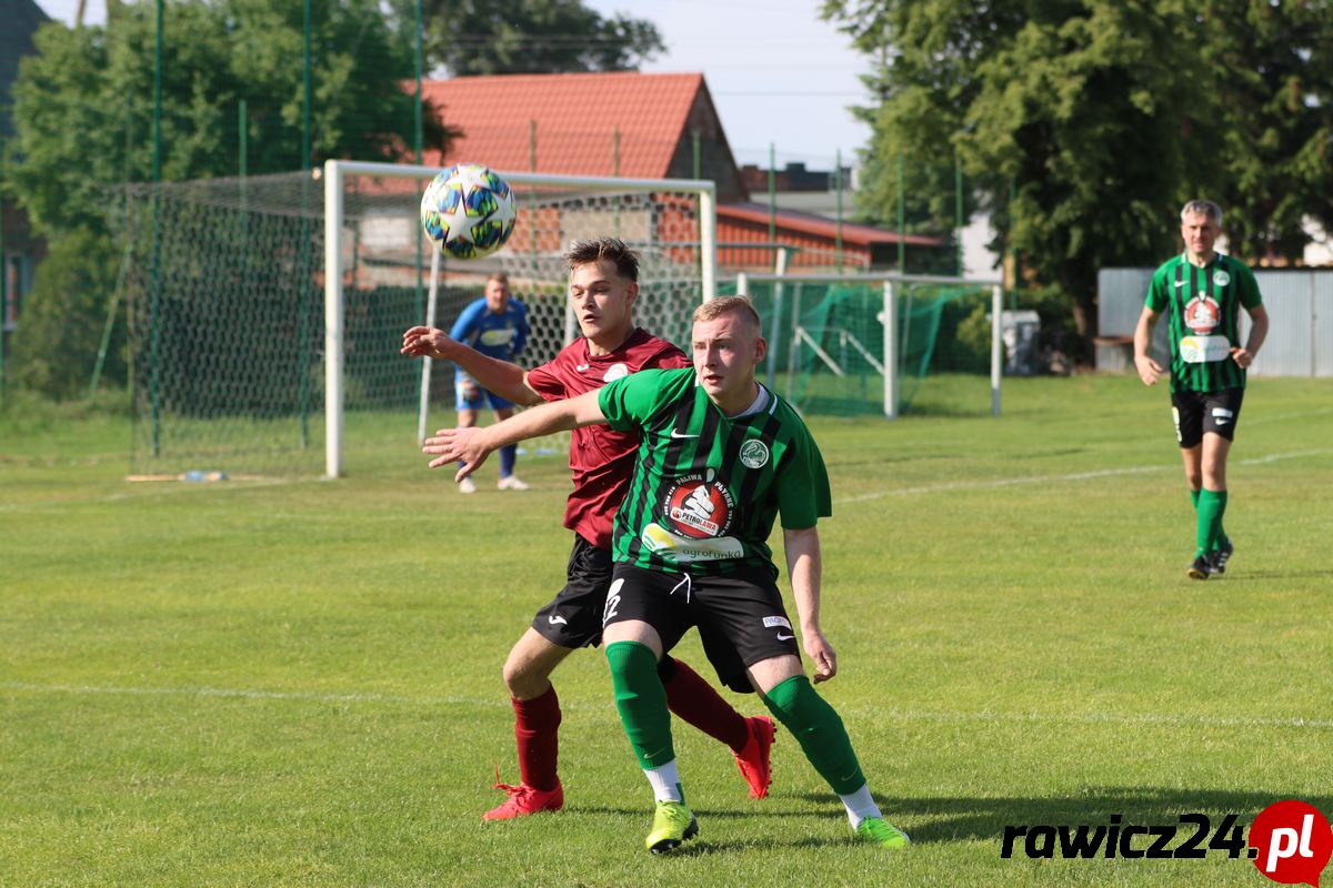 Sarnowianka Sarnowa - Pelikan Dębno Polskie