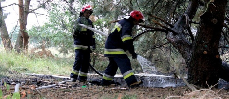 Pożar w zagajniku, leśnicy apelują o zachowanie ostrożności - Zdjęcie główne