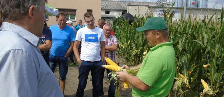 O kukurydzy i kiszonkach w Dąbrowie (FOTO) - Zdjęcie główne