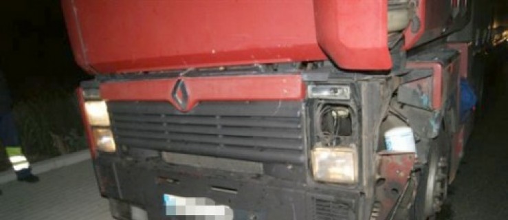 Zwierzę uszkodziło ciężarówkę - Zdjęcie główne