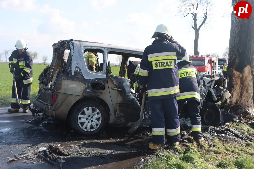 Autem uderzył w drzewo na granicy powiatu rawickiego i gostyńskiego