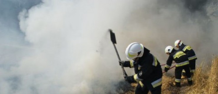 Pożar słomy na polu - Zdjęcie główne