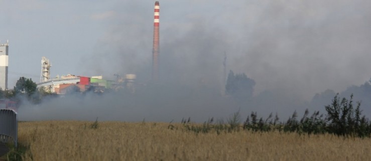 Zapaliły się baloty. Dym był widoczny z kilku kilometrów - Zdjęcie główne