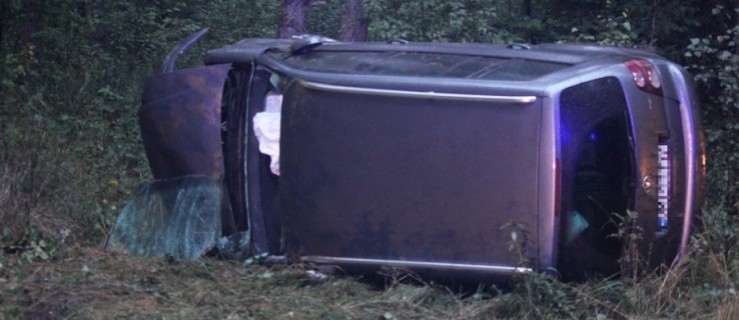 Auto wypadło z drogi. Strażacy ewakuowali poszkodowanego kierowcę  - Zdjęcie główne