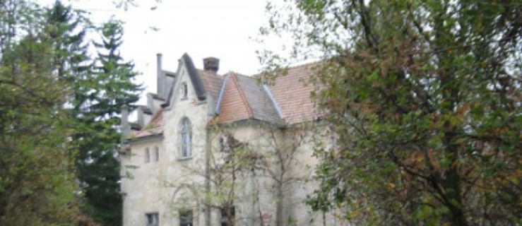 Każdy będzie mógł kupić pałac w Konarzewie - Zdjęcie główne