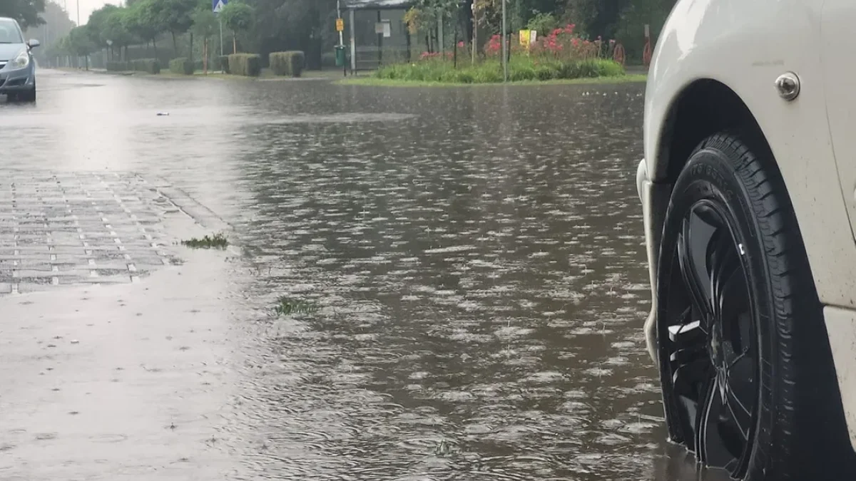 Ulewa dała się we znaki. Burmistrz Rawicza: "Spadło tyle deszczu, ile przeciętnie pada w całym sierpniu" - Zdjęcie główne