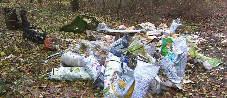 W lasku w Dębnie Polskim przybywa śmieci [FILM] - Zdjęcie główne