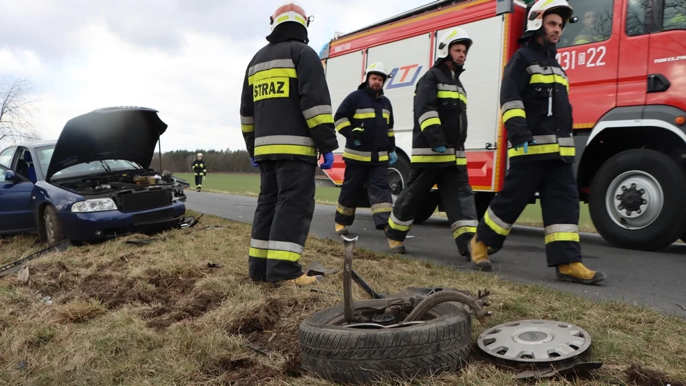 Autem w drzewo. Wypadek na drodze Zaborowice - Borszyn Wielki [ZDJĘCIA] - Zdjęcie główne