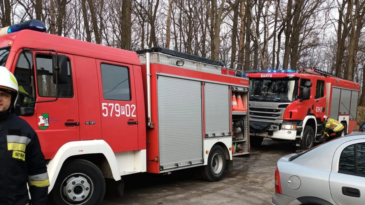 Przypalona potrawa powodem strażackiej interwencji w Zaborowicach - Zdjęcie główne