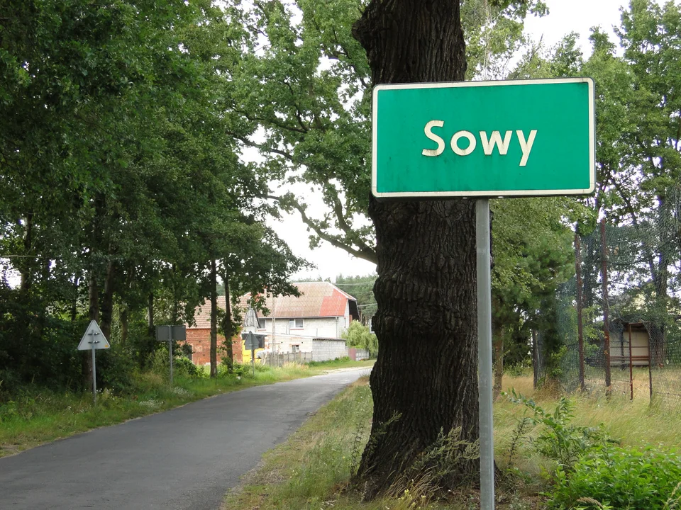 Firma Tarczyński chce dołożyć do modernizacji drogi Sowy - Białykał - Zdjęcie główne