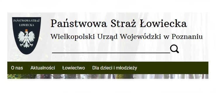 Jechał nietrzeźwy. Natknął się na patrol Państwowej Straży Łowieckiej - Zdjęcie główne