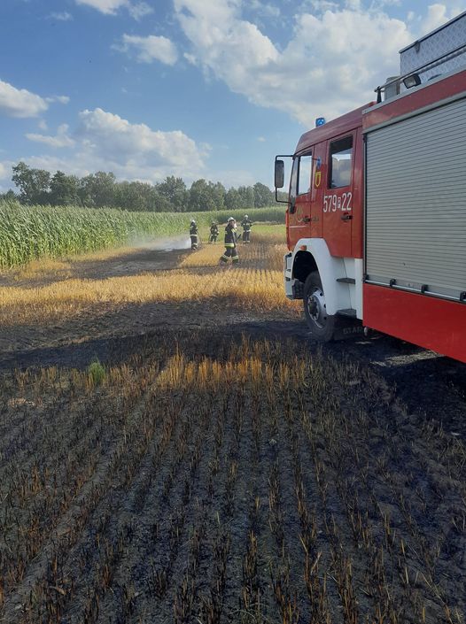 pożar w okolicach Starego Sielca