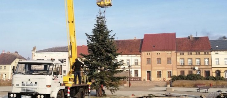 W Bojanowie ustawili choinkę. Kiedy ją rozświetlą? - Zdjęcie główne