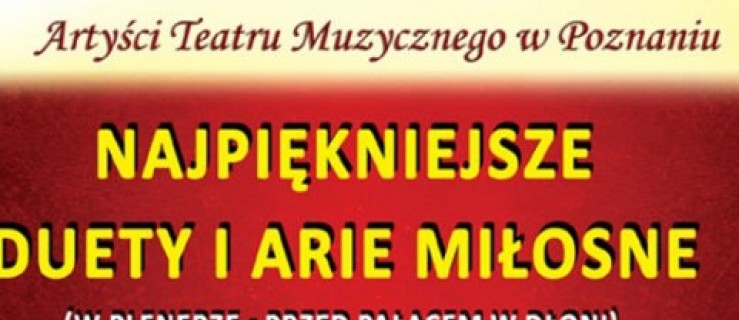 Teatr muzyczny z koncertem w Dłoni - Zdjęcie główne