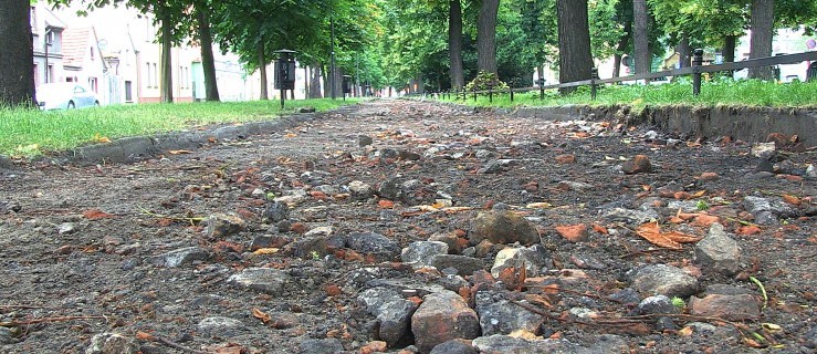 Prace na plantach. Znaleziono fragmenty żydowskich macew - Zdjęcie główne