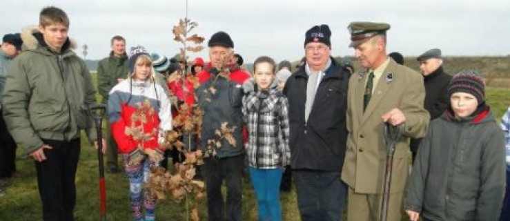 Posadzono Dąb Samorządów - Zdjęcie główne