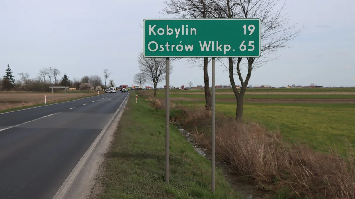 Co ze ścieżką pieszo-rowerową wzdłuż DK 36 na odcinku Miejska Górka - Kobylin? - Zdjęcie główne