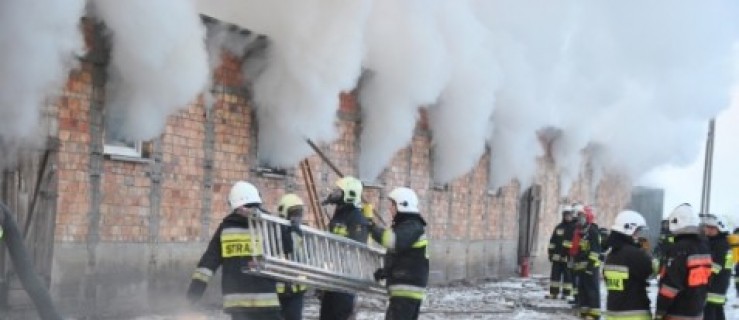 Wielki pożar świniarni w Sowinach [ZDJĘCIA, WIDEO] - Zdjęcie główne