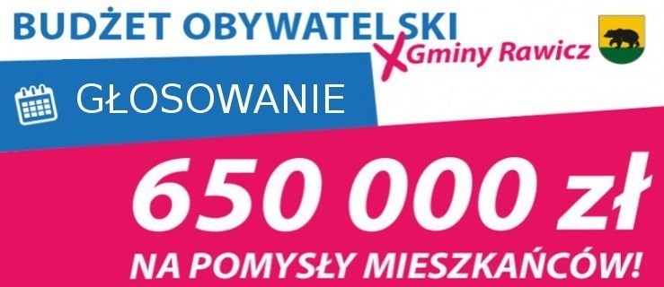 Rawicz. Budżet obywatelski - od jutra głosowanie - Zdjęcie główne