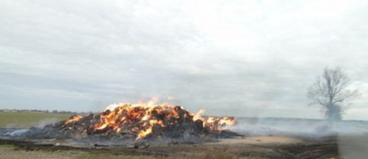 Miejska Górka. Straty na prawie ćwierć miliona  - Zdjęcie główne