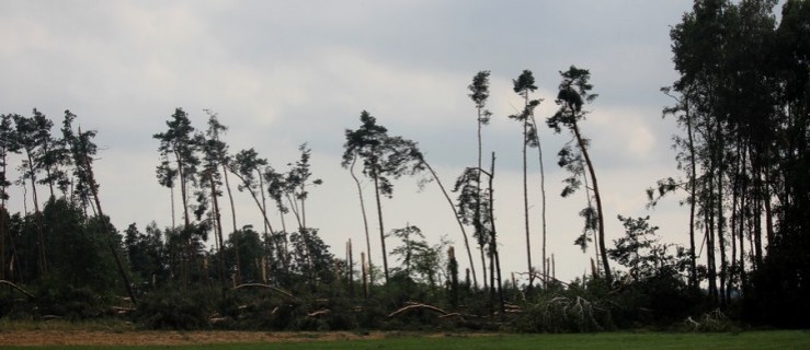 Nadchodzą burze z gradem. Znów niebezpiecznie późnym popołudniem, wieczorem i w nocy - Zdjęcie główne