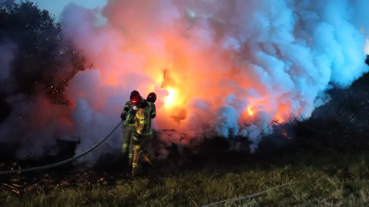 Kłęby dymu nad Sarnową. Pożar w okolicy byłego dworca kolejowego - Zdjęcie główne