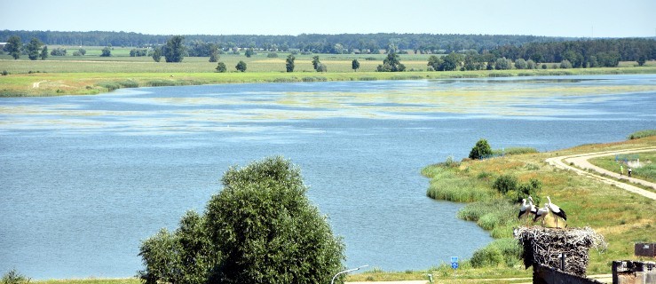 Farmy fotowoltaiczne nad zalewem w Jutrosinie. Burmistrz chce zmiany lokalizacji  - Zdjęcie główne