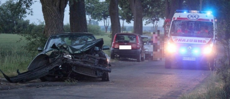 Auto uderzyło w drzewo. Kierująca trafiła do szpitala - Zdjęcie główne