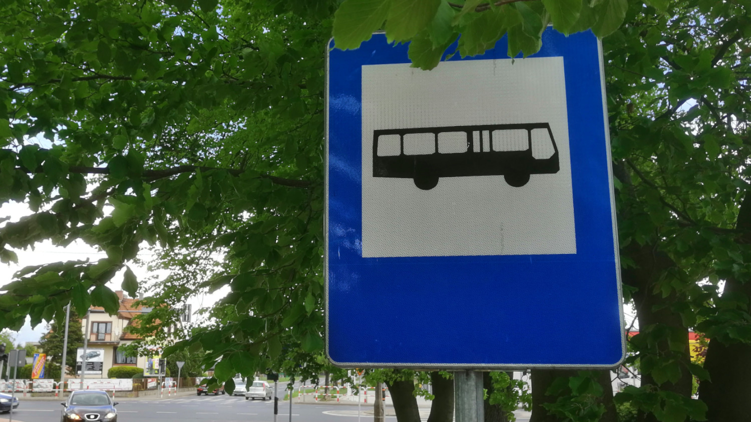 Rawicz. Aktualny rozkład jazdy autobusów linii nr 1 komunikacji miejskiej do Sarnowy  - Zdjęcie główne