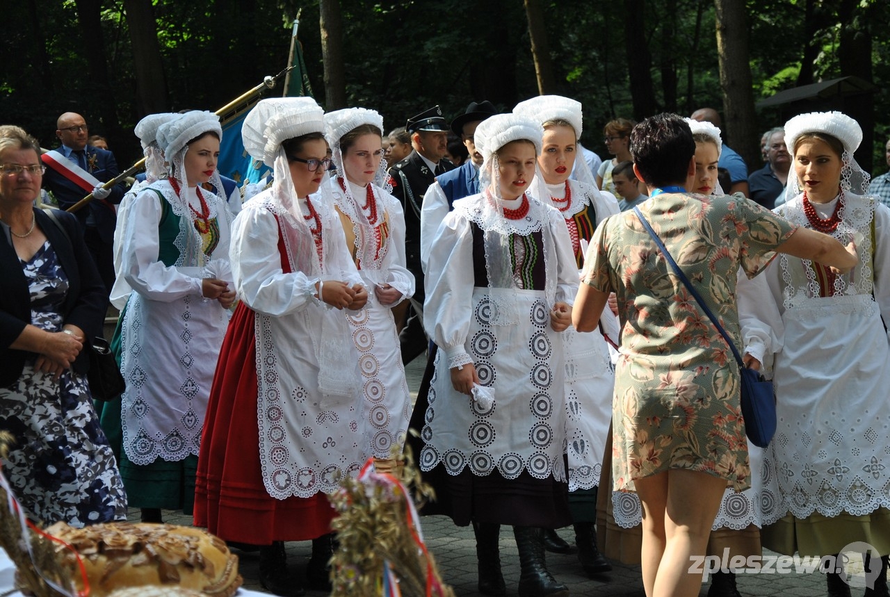 Dożynki powiatowe w Gołuchowie - Zdjęcie główne