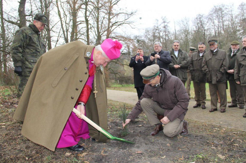 Pleszew. Gołuchów. Biskup Janiak posadził cisy. Pamiątkowych tabliczek już nie ma... - Zdjęcie główne