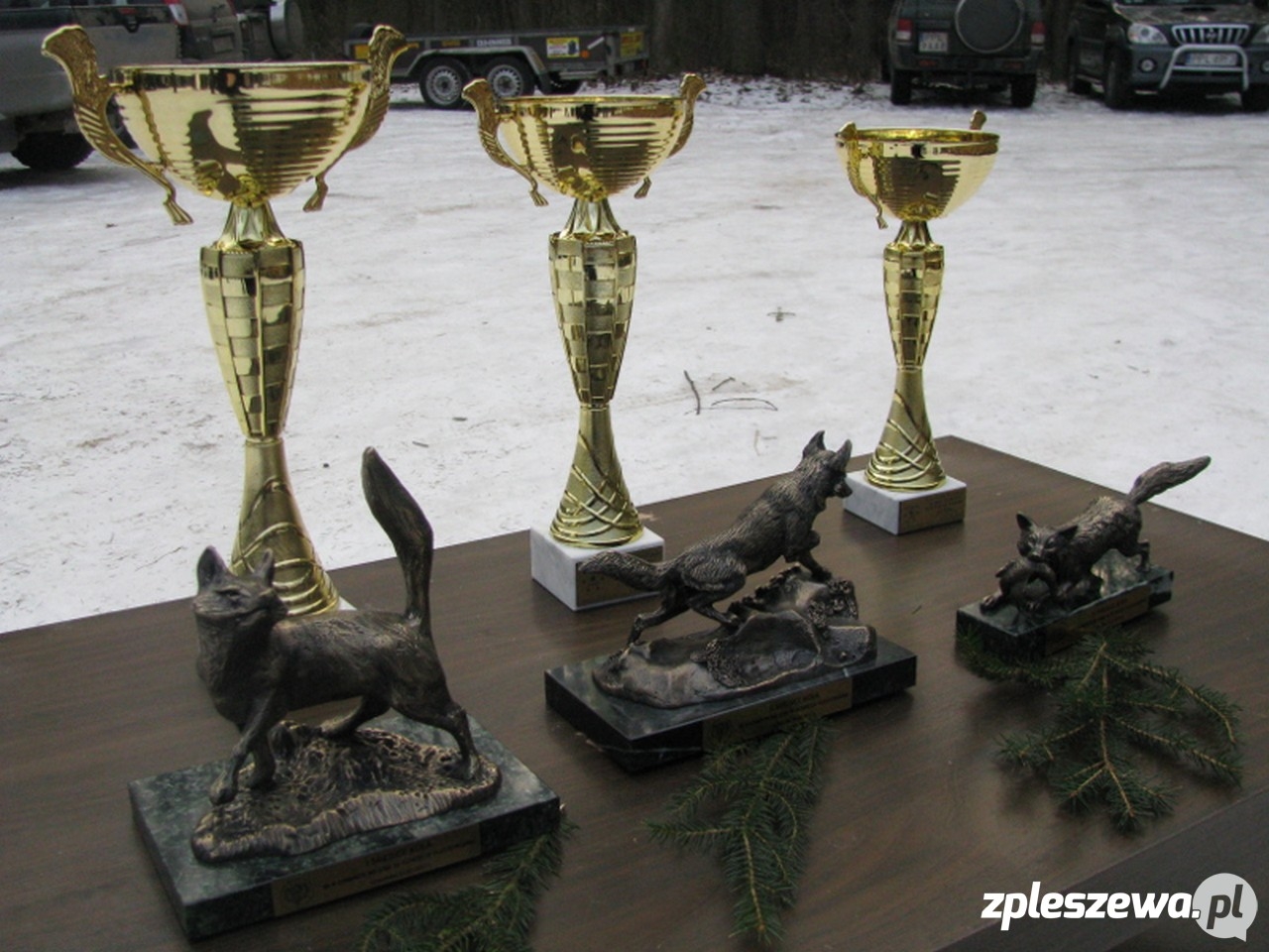 Odstrzał lisów 2017  - Zdjęcie główne