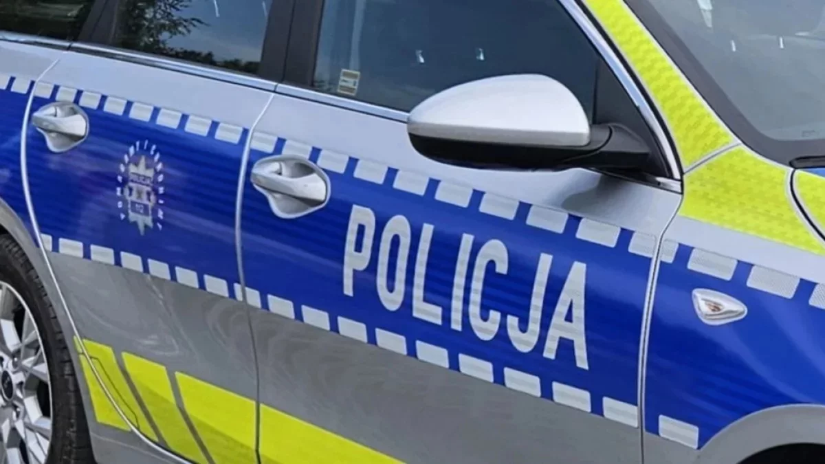 Zderzenie trzech samochodów na drodze krajowej nr 12