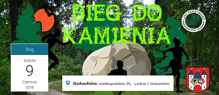 Gołuchów. Bieg do kamienia. Trwają zapisy! - Zdjęcie główne