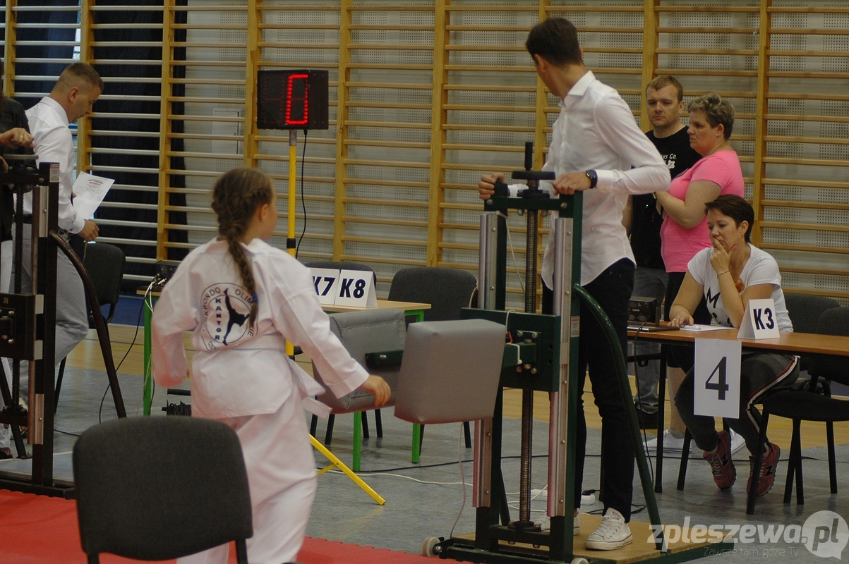 Liga Wesołek Taekwondo - Zdjęcie główne
